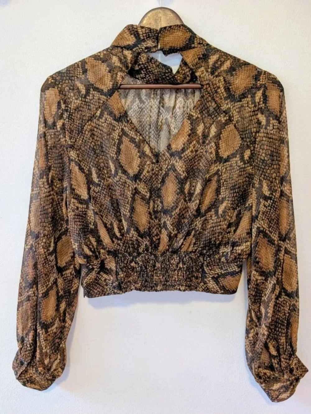Zara Snake Gold Dramatic Balloon Sleeves Sheer Crop Top
